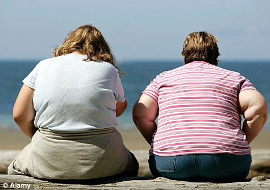 Um total de 29 milhões de brasileiros são obesos e 95 milhões estão acima do peso