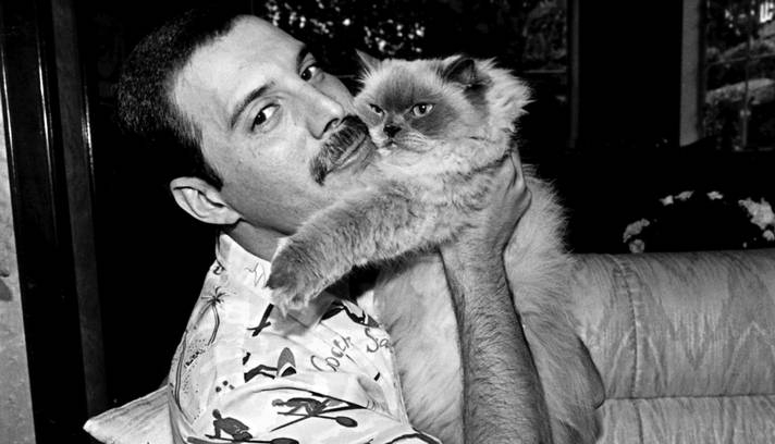 O cantor com um de seus gatos - fotografados em 1988